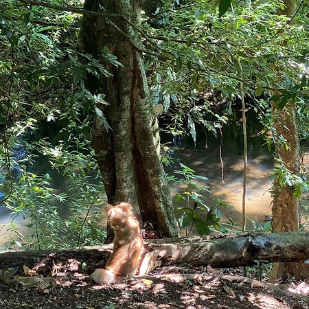Campo Verde House, La Fortuna De San Carlos Ngoại thất bức ảnh