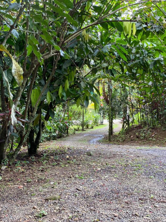 Campo Verde House, La Fortuna De San Carlos Ngoại thất bức ảnh