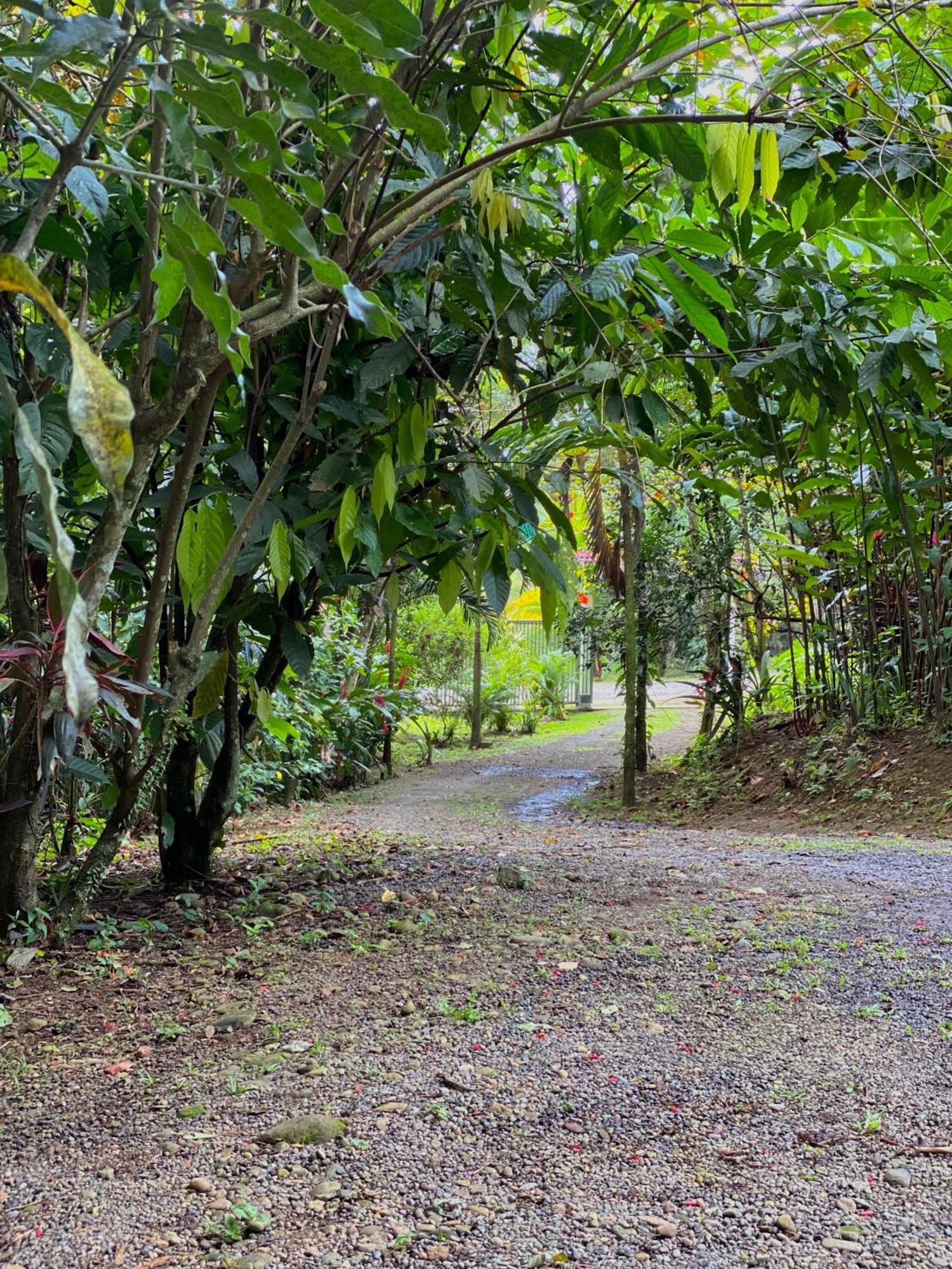 Campo Verde House, La Fortuna De San Carlos Ngoại thất bức ảnh