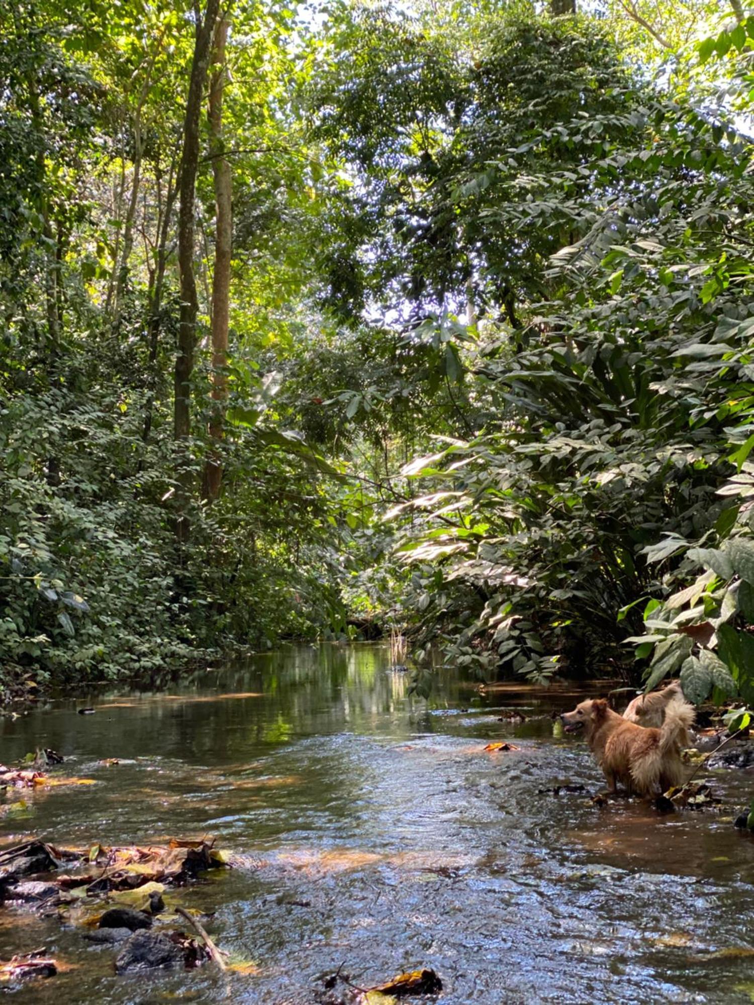 Campo Verde House, La Fortuna De San Carlos Ngoại thất bức ảnh