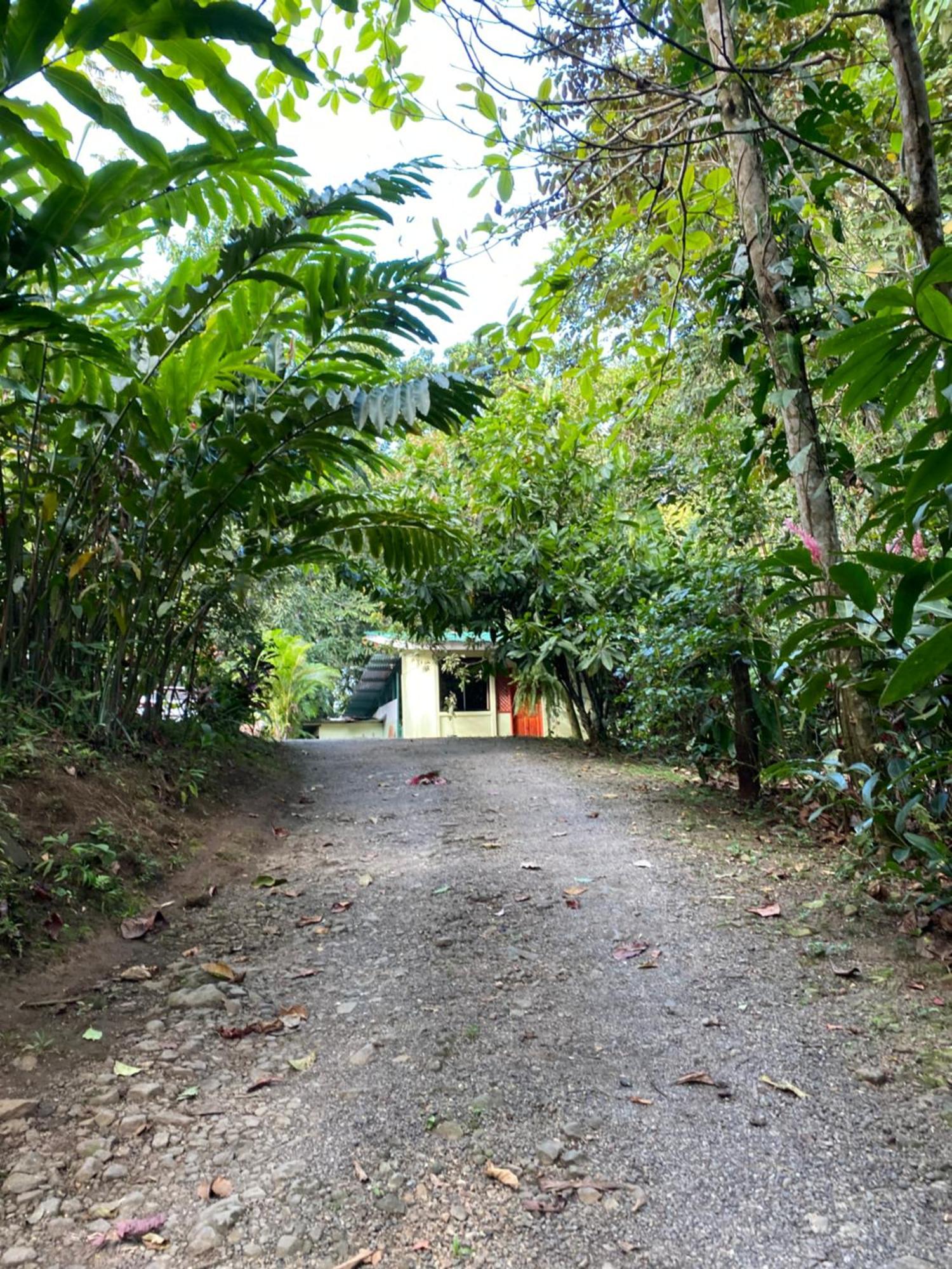 Campo Verde House, La Fortuna De San Carlos Ngoại thất bức ảnh